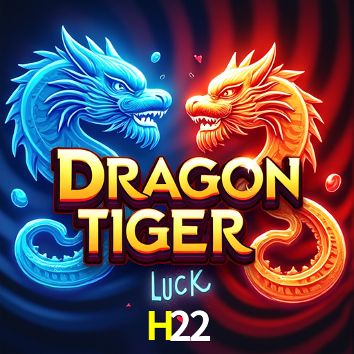 Experiência VIP H22